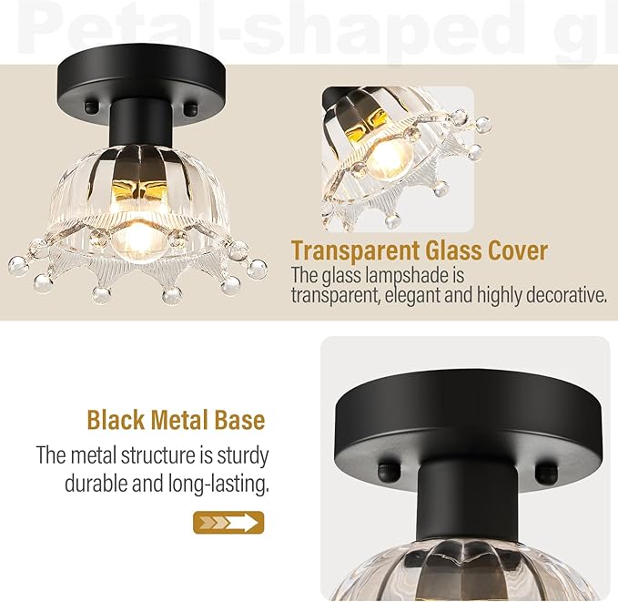 2 Pack Black Modern Semi Flush Mount Ceiling Lights with Glass Shades