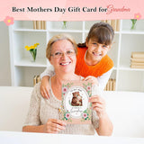 Grandma Birthday Card - 5.5"X8" Bear Happy Birthday Card For Grandma With Envelope Birthday Gifts From Grandkids Granddaughter Grandson