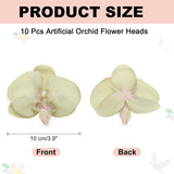 uxcell 10 Pcs Artificial Orchid Flower Heads, Fake Butterfly Orchid Heads Bulk Artificial Flowers for DIY Wedding Bouquets Centerpieces Party Home Decorations, Green
