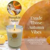 Elevated Scente[D] Candles - Pumpkin Spice Candles | 9.1Oz Large Candle Jar - 70 Hours Burn Time | Fall Scented Or Home, Halloween, Autumn