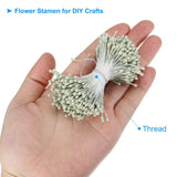 2Mm Double Heads Flower Stamen, 700 Pcs Artificial Flower Stamen Pistil Matt Pearl Floral Stamen For Diy Christmas Card Wedding Decor, Light Green