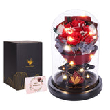 Valentines Day Gifts For Her,Birthday Gifts For Women,Beauty And The Beast Rose In Glass Dome With 2 Light Modes,Enchanted Rose Flower Roses Bouquets Valentines Gifts For Daughter Mom Wife Girlfriend