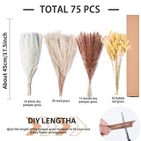 75Pcs Natural Dried Pampas Grass Decor - 17" Fluffy Pampas Grass Bouquet - Boho Home Decor Dried Flowers For Wedding Floral Room Home Party Table Decorations