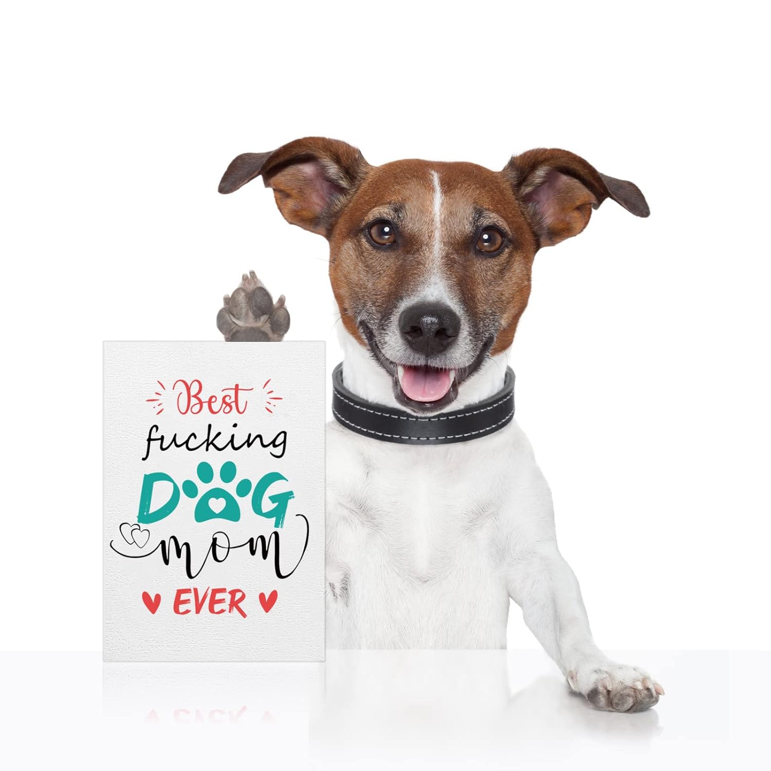 Best Dog Mom Ever Mothers Day Card From Dogs Puppy, Funny Mothers Day Gift Card For Dog Moms, Dogs Mom Gift Cards For Women With Envelope