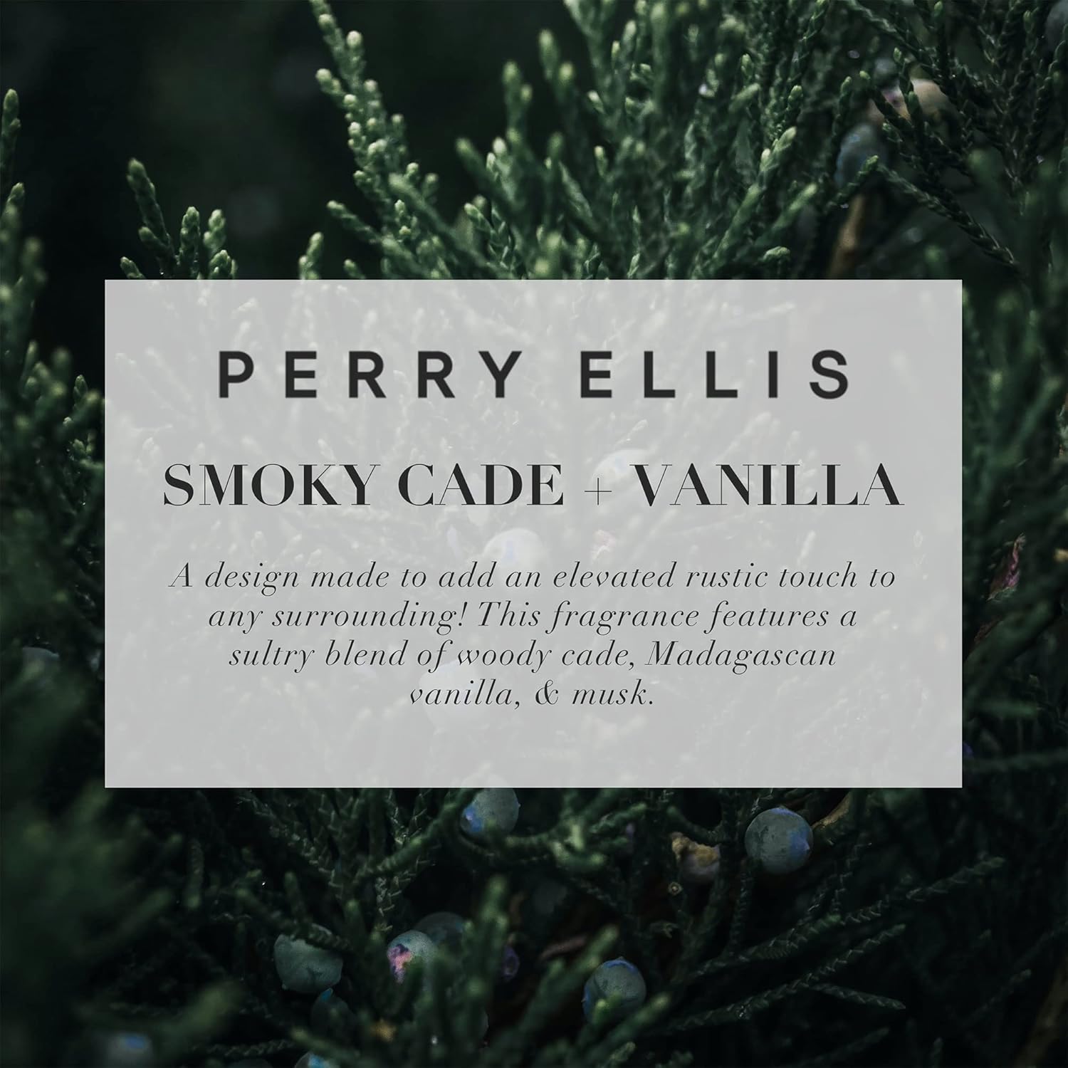 Perry Ellis Candle Scented Candles, Smoky Cade & Vanilla Soy Candle