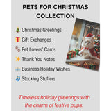 Ragdoll Kitten Christmas Greeting Card – Merry Christmas Cat Card For Pet Lovers, Blank Inside, 5X7” Premium Holiday Card With Red Envelope – Cute Cat Art, Made In Usa By Pet-Friendly Small Business