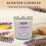 Lavender Scented Candle, 21 Oz Soy Wax Candles For Home Aromatherapy, Relaxation Gifts For Women, Long Lasting Time (160-180 Hrs) For Bedroom Yoga Garden Patio Birthday Party,Set Of 2
