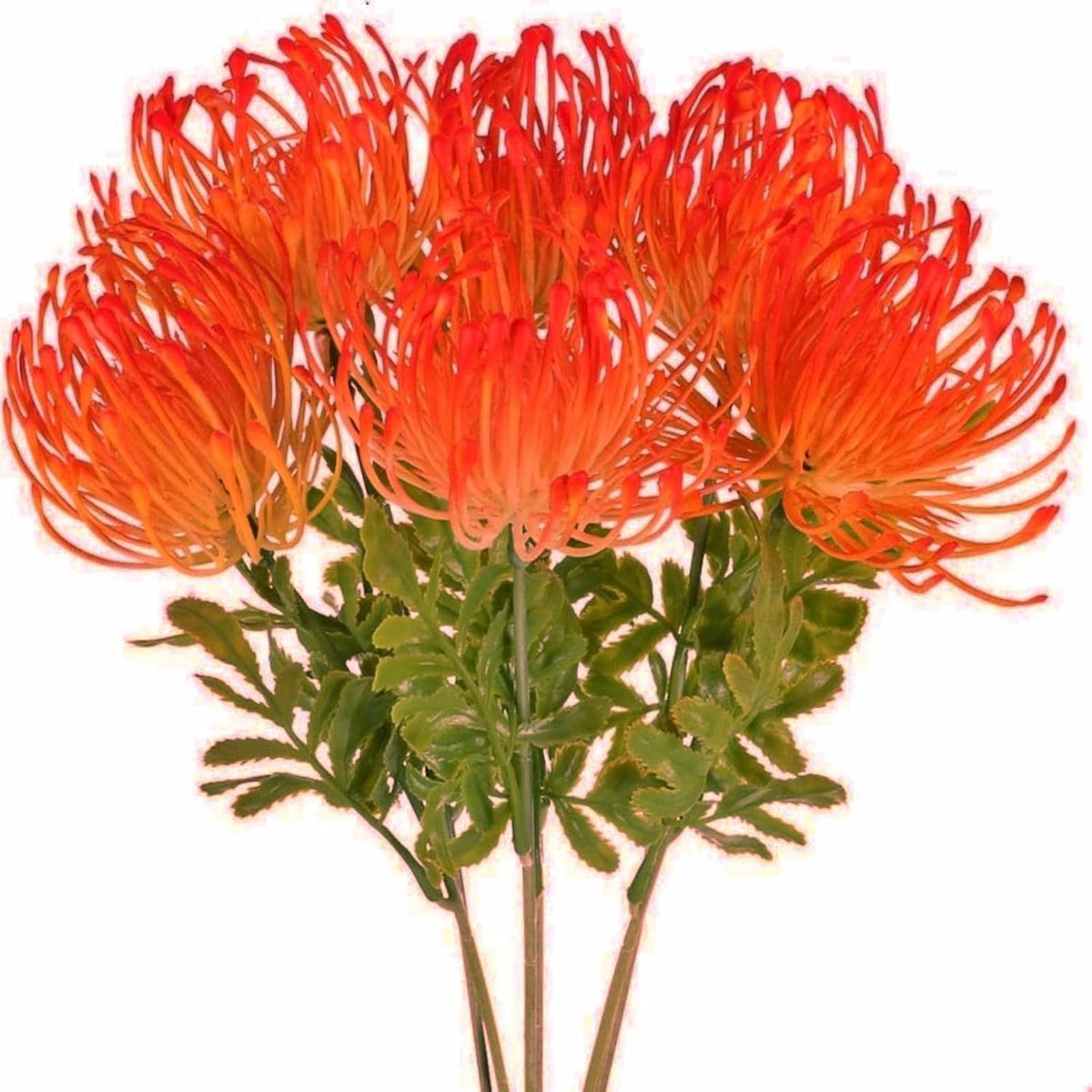 6 Pcs Tropical Flowers Christmas Flowers Artificial Uv Resistant Fake Plastic Protea Fake Spider Mum Flower Arrangement For Table Centerpieces Home Kitchen Office Indoor Outdoor Decor