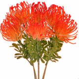 6 Pcs Tropical Flowers Christmas Flowers Artificial Uv Resistant Fake Plastic Protea Fake Spider Mum Flower Arrangement For Table Centerpieces Home Kitchen Office Indoor Outdoor Decor