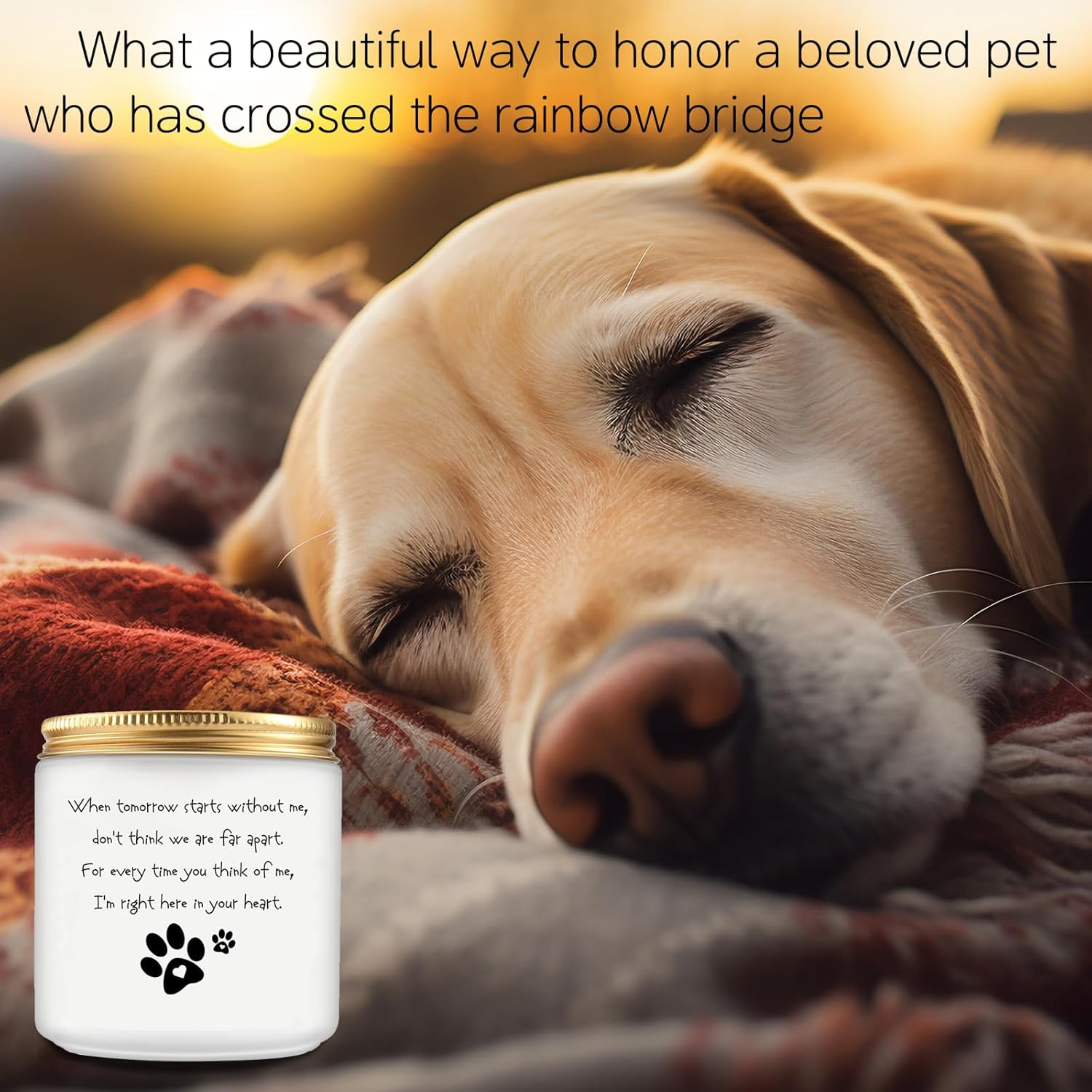 Sympathy Candle Gift For Loss Of Dog, Pet Memorial Gifts For Dogs, Cats