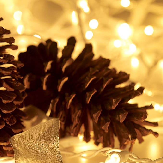 100 Count Mini Clear Christmas Lights 21FT White Wire String Lights UL Certified for Christmas Tree Wedding Valentine Indoor Outdoor Decor
