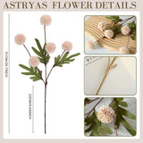 10Pcs Faux Kiku Flowers, Fake Pom Pom Mini Chrysanthemum Flowers+ White Mums Flower Faux Fall Floral For Autumn Wedding Kitchen Table Centerpiece Home Decor, Beige