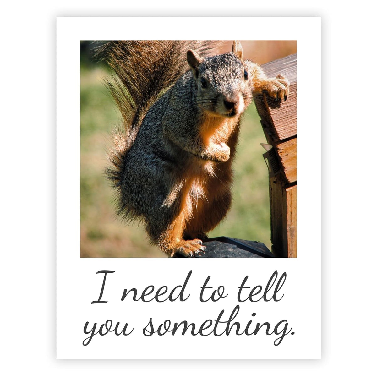 Articulate Squirrel Blank Inside Funny Greeting Card | I Need To Tell You Something Card | 4.25 X 5.5 Inches Folded