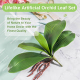 Orchid Leaves Artificial Artificial Orchid Leaves Real Touch Phalaenopsis Stems Faux Cymbidium Flower Foliage Green Artificial Orchid Bulk 2Pack Lifelike Orchid Leaf Decor Faux Orchid 8 Inches