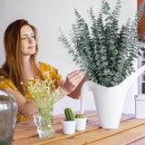12 Pcs Dried Eucalyptus Stems For Shower - 17" Preserved Eucalyptus Stems Shower Plant, Fresh Real Eucalyptus Leaves For Shower Hanging, Home Decor, Dried Flowers