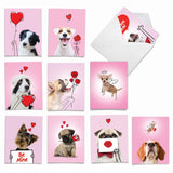 - 10 Assorted Valentine'S Day Note Cards (4 X 5.12 Inch) - Boxed Valentine Cards, Bulk Set With Envelopes - Dog Love Doodles Am9187Vdg-B1X10
