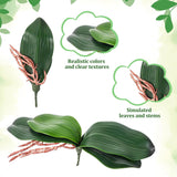 Faux Orchid Leaves, 2 Pack 8 Inch Artificial Phalaenopsis Stems Leaf Real Touch Orchids Leaf Artificial Cymbidium Flower Foliage Real Latex Touch Green Plant Orchid Leaves For Home Flowers Pot Decor