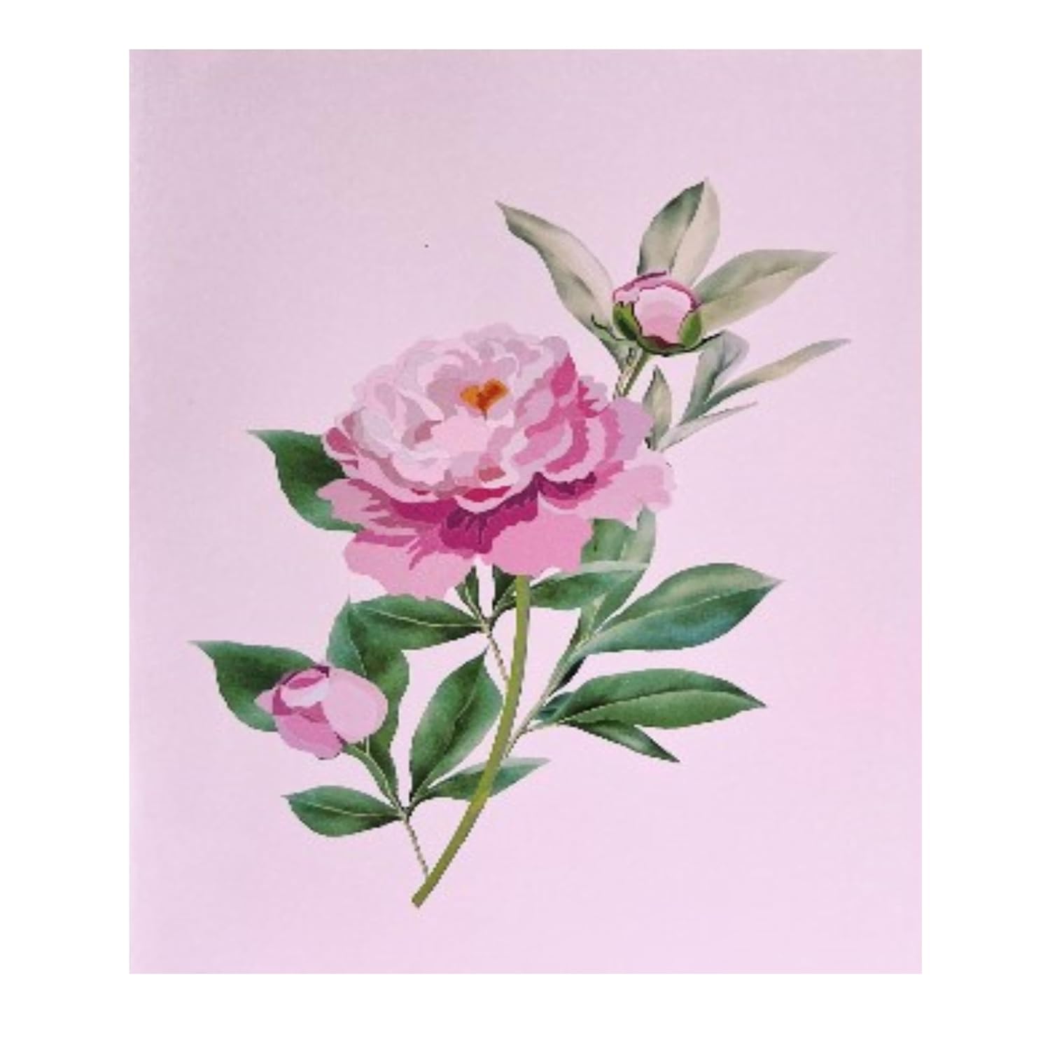 3D Pop-Up Peony Greeting Card – Elegant Handmade Floral Gift For Birthday, Anniversary, Mother’S Day & Special Occasions F41
