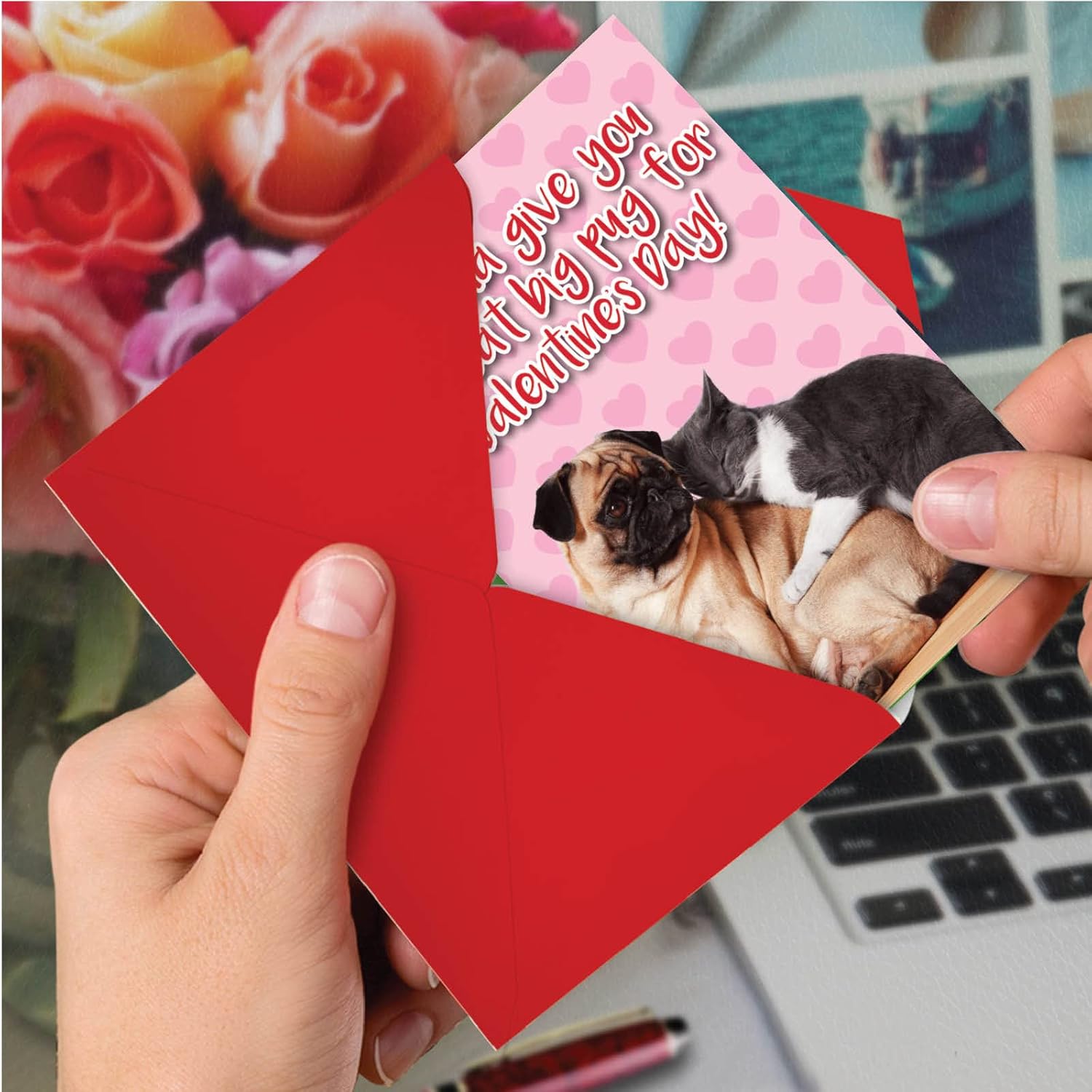 - Pack Of 3 Humorous Valentine'S Day Greeting Cards With Envelopes, Funny Pet Cat And Dog For Men And Women Couples (1 Designs, 3 Each) - Great Big Pug C6758Vdg-C3X1