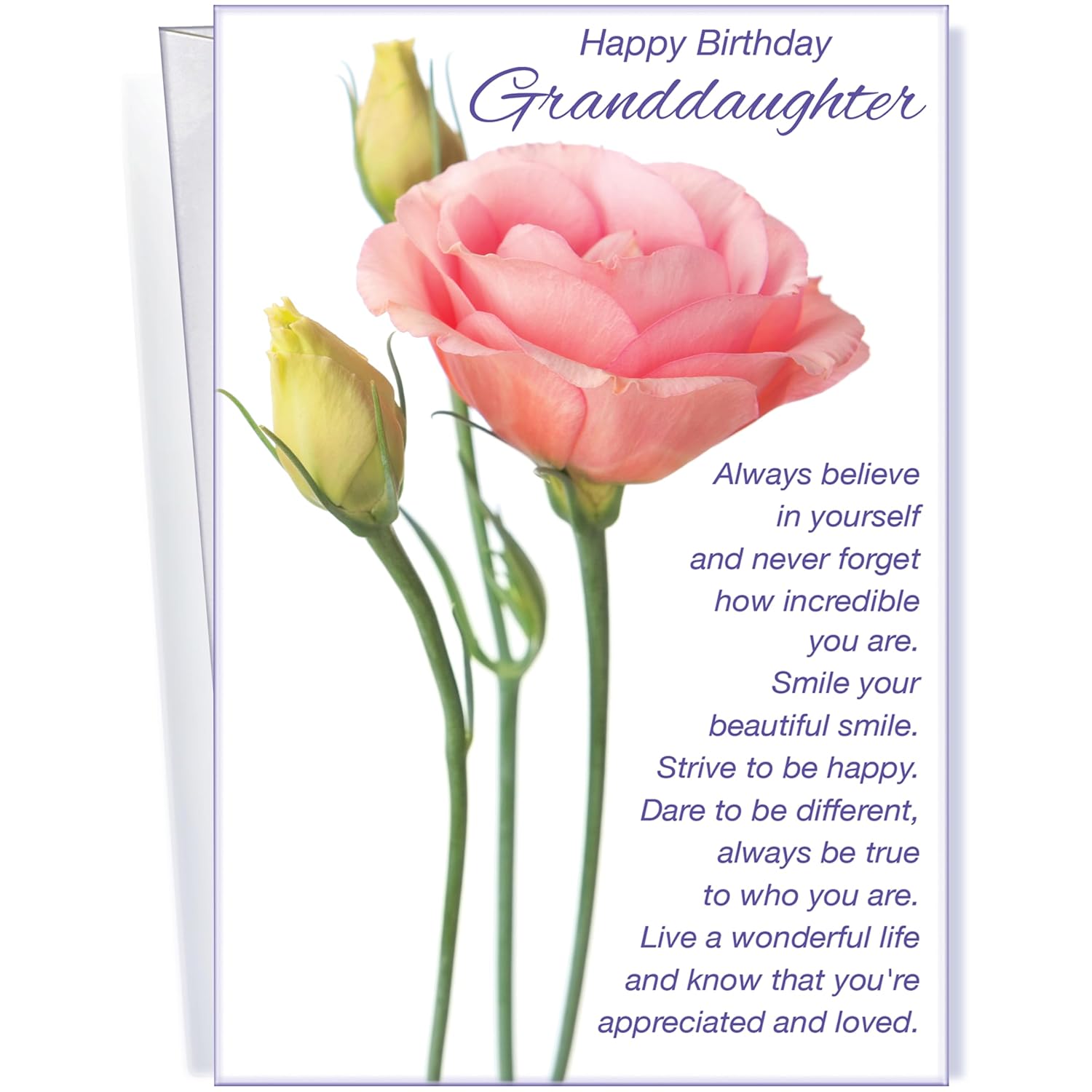 Granddaughter Birthday Card - Large Card Opens To 10" X 7.75" - Made In Usa - Perfect Pink Rose Design - Premium Envelope & Sturdy Mailer 95359