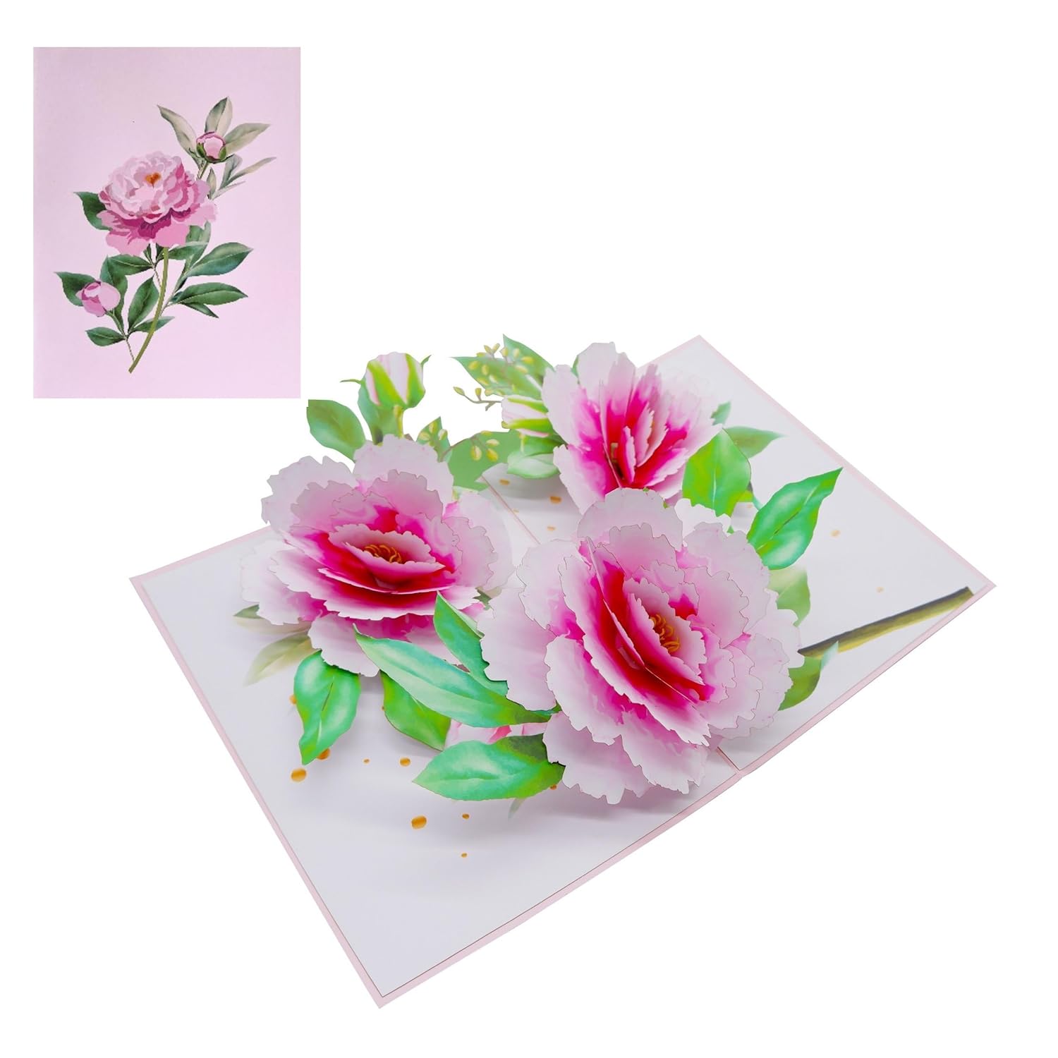 3D Pop-Up Peony Greeting Card – Elegant Handmade Floral Gift For Birthday, Anniversary, Mother’S Day & Special Occasions F41
