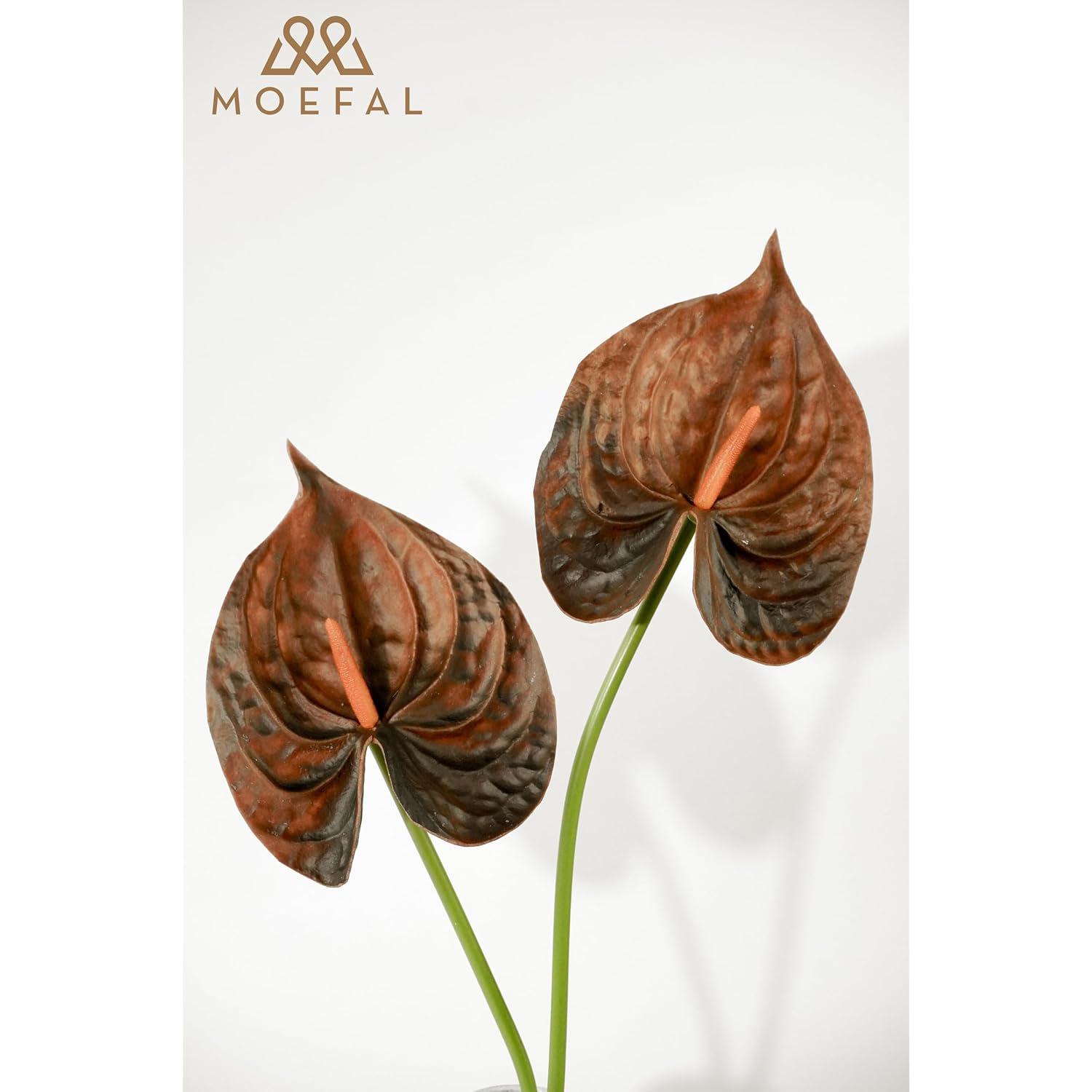 Real Touch Anthurium Artificial Flowers, 8Pcs Brown Faux Tropical Flowers With Stems For Boho Wedding Bouquets, Rust Fall Centerpieces & Jungle Party Decoration