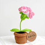 Crochet Flowers Potted Plants,Knitted Carnation Flowers,Knitting Crocheted Flower Potted Gifts For Mother,Wife,Women,Friend,Car Dashboard,Table,Home Office Car Decor