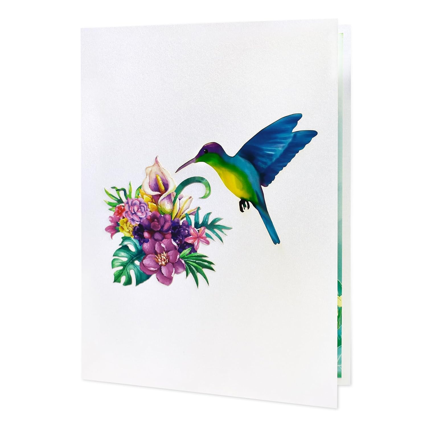 Hummingbird Birthday Card Pop Up For Women, Wife, Grandma, 3D Popup Greeting Card For Mothers Day, Fathers Day, Valentines Day, Anniversary, Thank You, Get Well