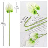 8Pcs Artificial Anthurium Flowers 24.8’’ Pu Real Touch Tropical Flowers Faux Anthurium Flowers With Long Stems For Wedding Bouquet Home Party Outdoor Decor(White&Green)