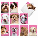 - 20 Assorted Boxed Valentine'S Day Note Cards With Envelopes (4 X 5.12 Inch) - Heart Dogs Am9161Vdg-B2X10