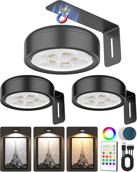 3 Pack Rechargeable Picture Lights for Wall Magnetic LED Art Lights with Remote RGB