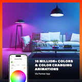 A19 Smart LED Light Bulbs 2 Pack RGBW Color Changing 800LM Alexa Google Home Apple Home Compatible