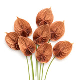 Artificial Anthurium Flowers, 8Pcs Terracotta Faux Greenery Stems, Burnt Orange Silk Filler Plants For Diy Wedding Bouquets Centerpieces Arrangements Bridal Shower Party Home Decorations