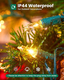 100 Count Clear Christmas String Lights 20FT Green Wire Mini Incandescent Bulb Lights for Indoor Outdoor Christmas Tree Garland Wedding Party Festival Decor