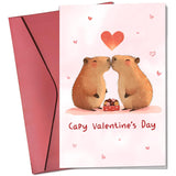 Valentines Day Cards For Him, Her - Valentines Day Gifts For Boyfriend, Girlfriend, Husband, Wife, Couples, Men, Women - Funny Anniversary Birthday Card For Him, Her - Single 5.3''X 8'' Folded Card