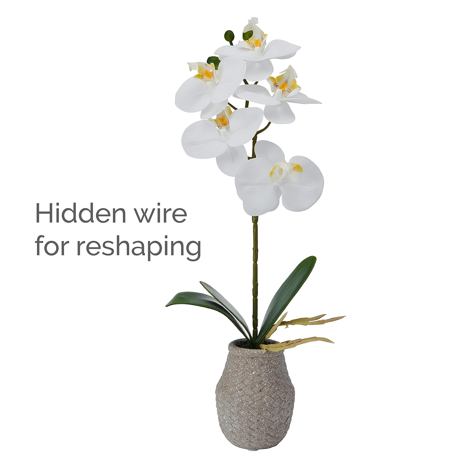 Mikasa Artificial Orchid in Pot, Real Touch Phalaenopsis Orchid, Embossed Weave Cement Pot, 16-Inch Single Branch, White/Yellow