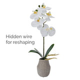 Mikasa Artificial Orchid in Pot, Real Touch Phalaenopsis Orchid, Embossed Weave Cement Pot, 16-Inch Single Branch, White/Yellow