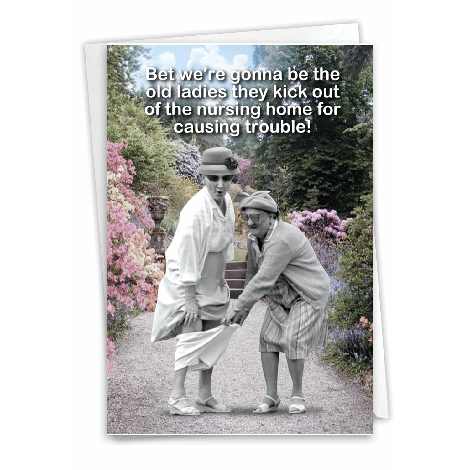 - 1 Funny Happy Birthday Greeting Card - Old Woman Humor, Notecard Talk Bubbles - Old Troublemakers C3567Bdg