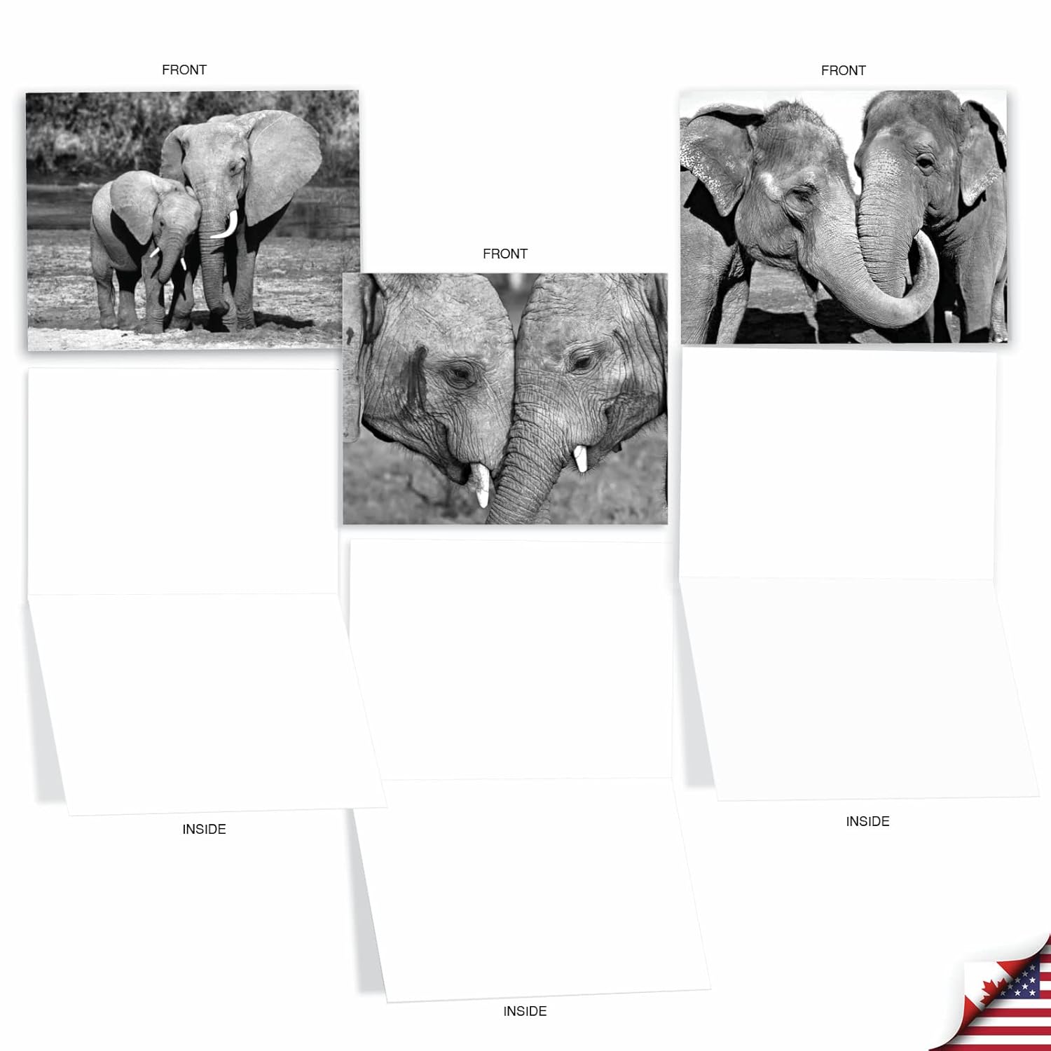 - 10 Blank Note Cards With Envelopes (4 X 5.12 Inch) - Black & White Photos, Bulk Boxed Set - Trunks Of Love M2370Ocb