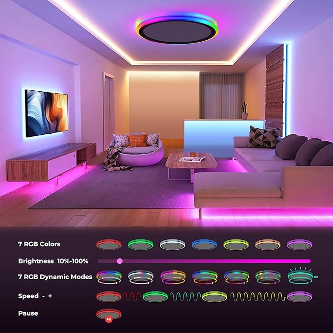 13 Inch LED Ceiling Light with Remote Color Changing Black Flush Mount Fixture