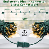 Clear Christmas Lights 50Ft 200 Incandescent Bulbs Warm White Mini Lights With Green Wire For Christmas Tree, Garland, Thanksgiving, Wedding, Party, Home, Indoor & Outdoor Festival Decoration