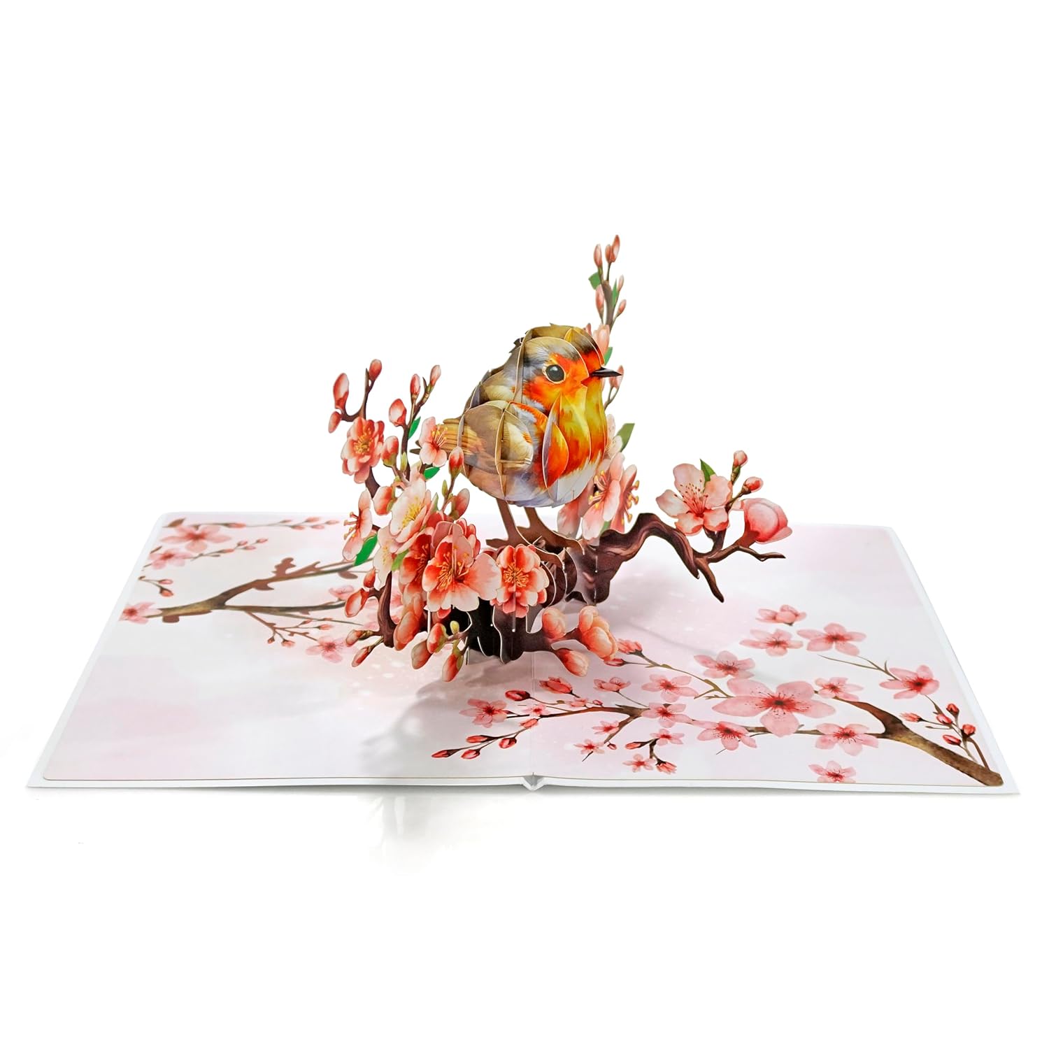 Cutpopup Robin Birthday Card Pop Up, Mothers Day, 3D Popup Greeting Card (Robin Cherry)