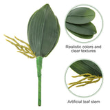 2 Pcs Orchid Leaves Artificial Real Touch Faux Phalaenopsis Stems Leaf 8 Inches Green Leaf Plants Fake Cymbidium Flower Foliage Green Real Touch Latex Orchid Leaves For Flowers Arrangements Pot Decor