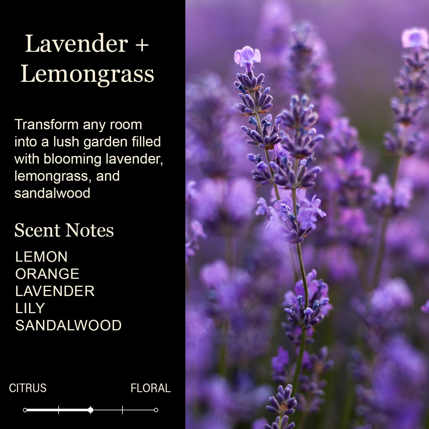 Friend Candle Gift – Lavender Citrus Scented Soy Candle, Hand Poured In Usa, Premium Gift Box, Long Lasting 60+ Hour Burn, Clean Burn Cotton Wick, Birthday Gifts For Women