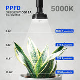 Orbgrow OG11A Grow Light Bulbs 4 Pack Full Spectrum E26 Plant Lights with Timer