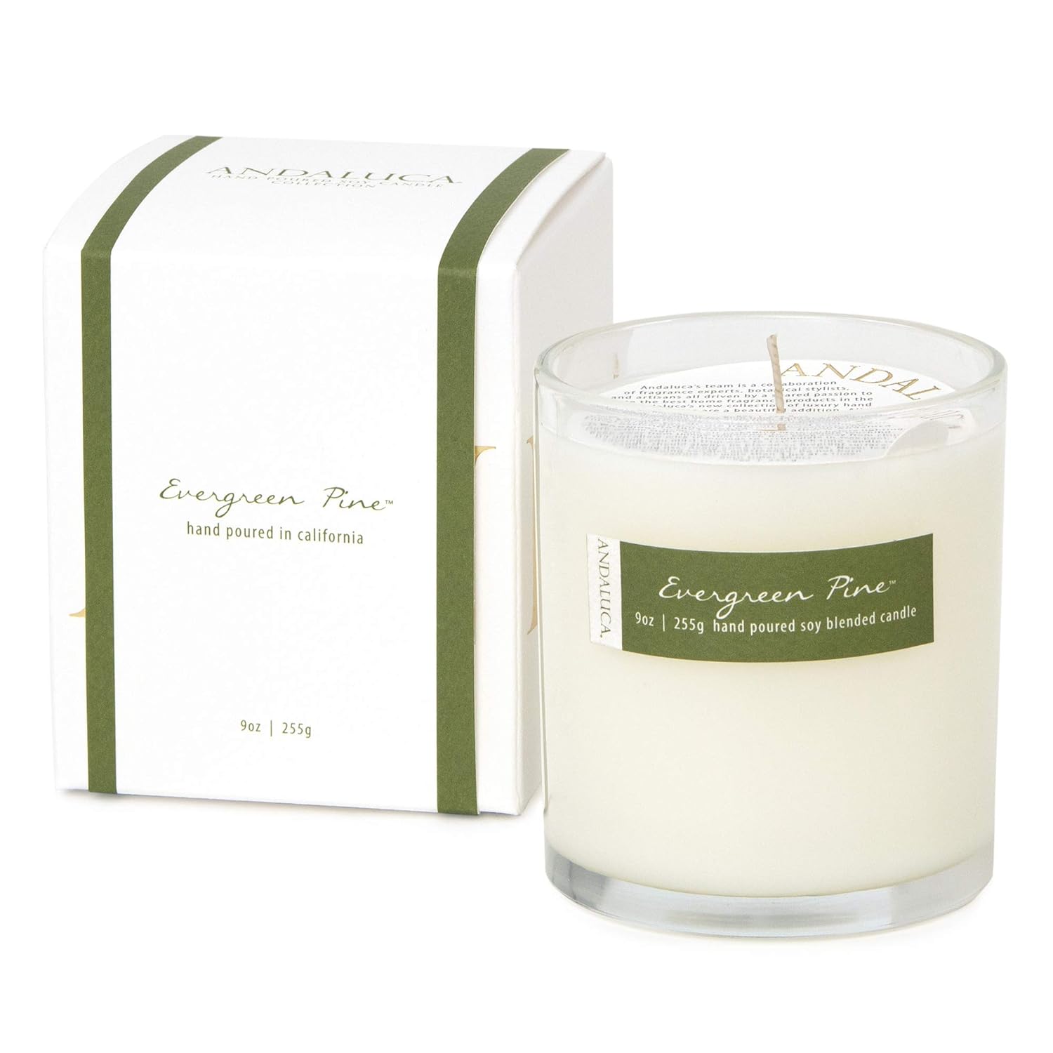 Evergreen Pine Scented Soy 9 Oz Candle | Hand Poured