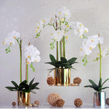 32" Artificial Phalaenopsis Flowers 5 Pcs Artificial Orchid Flowers Stem Plants For Home Décor