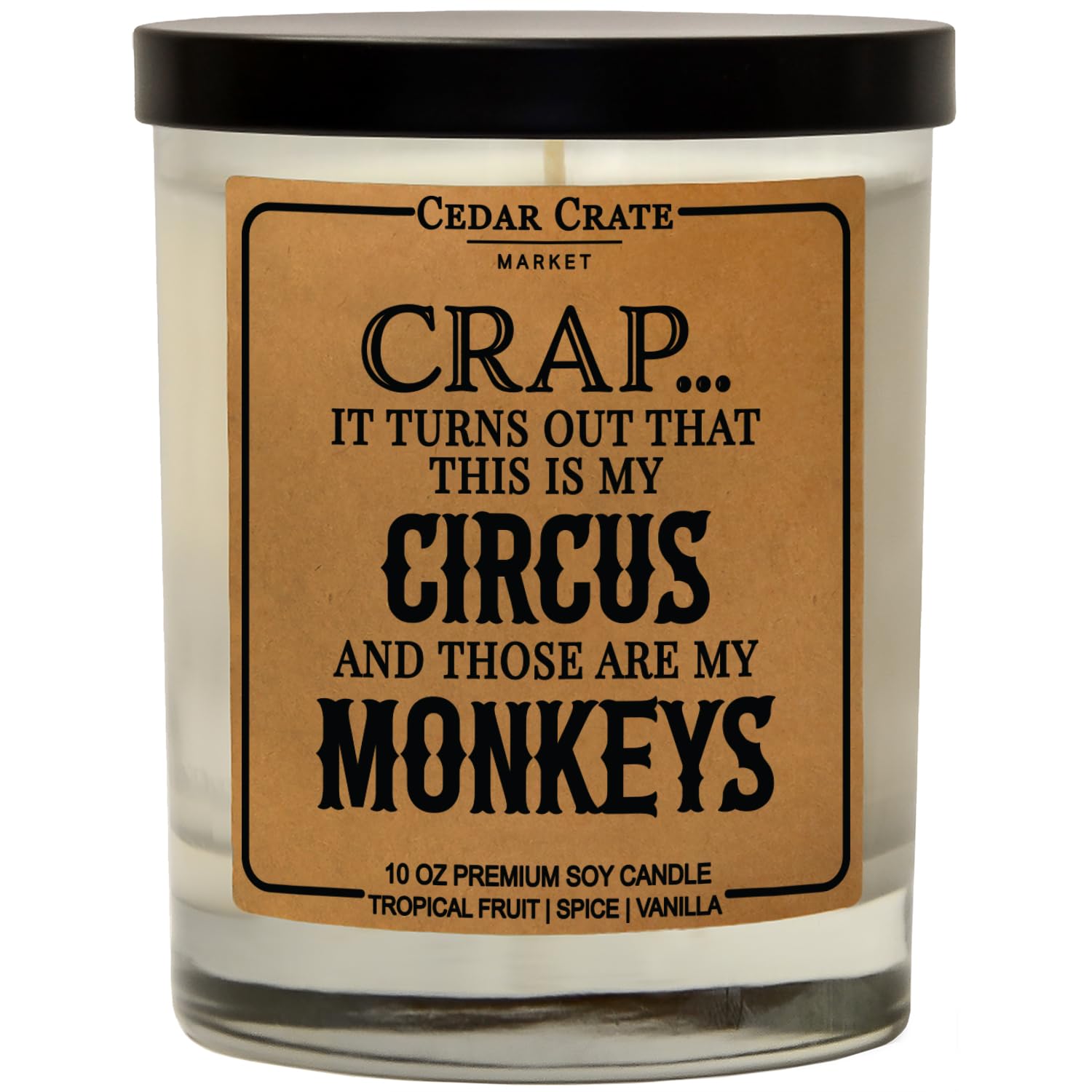 Funny Candle Gifts For Mom - Made In Usa - Mothers Day, Birthday Gifts For Women, Men, Dad, Best Friend, Sister, Coworker Candle, Birthday Candles, Unique Present From Daughter Or Son, 100% Soy Wax