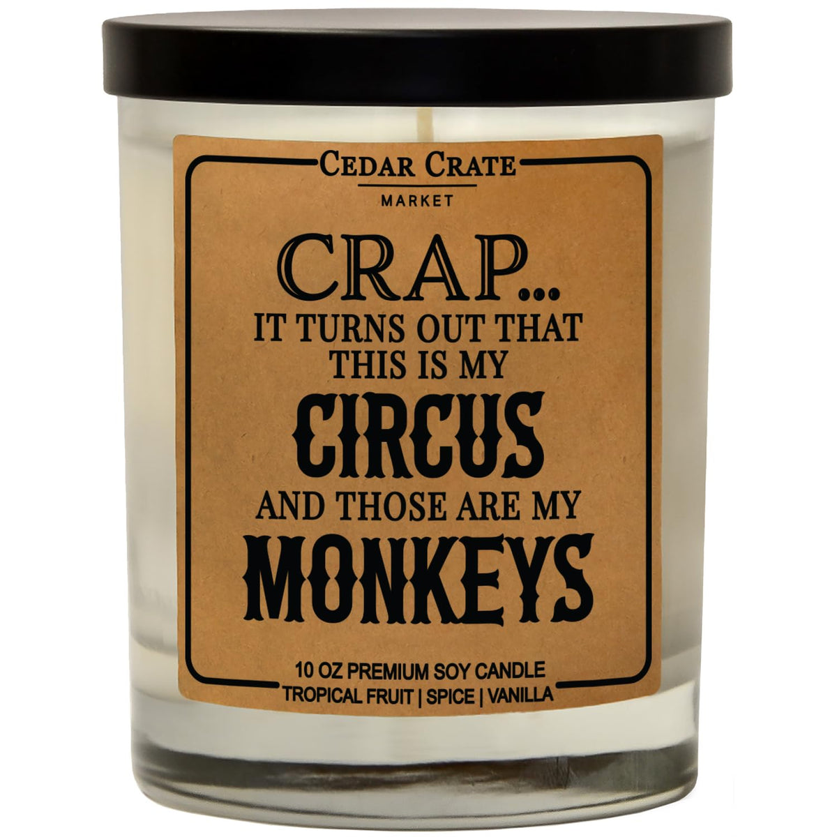 Funny Candle Gifts For Mom - Made In Usa - Mothers Day, Birthday Gifts For Women, Men, Dad, Best Friend, Sister, Coworker Candle, Birthday Candles, Unique Present From Daughter Or Son, 100% Soy Wax