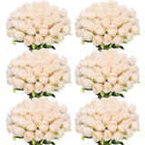 50 Pcs Artificial Rose Flower Bulk Realistic Silk Fake Roses With Long Stem Plastic Artificial Flower Bouquet Real Looking For Home Wedding Centerpieces Party Decoration(Beige Champagne)